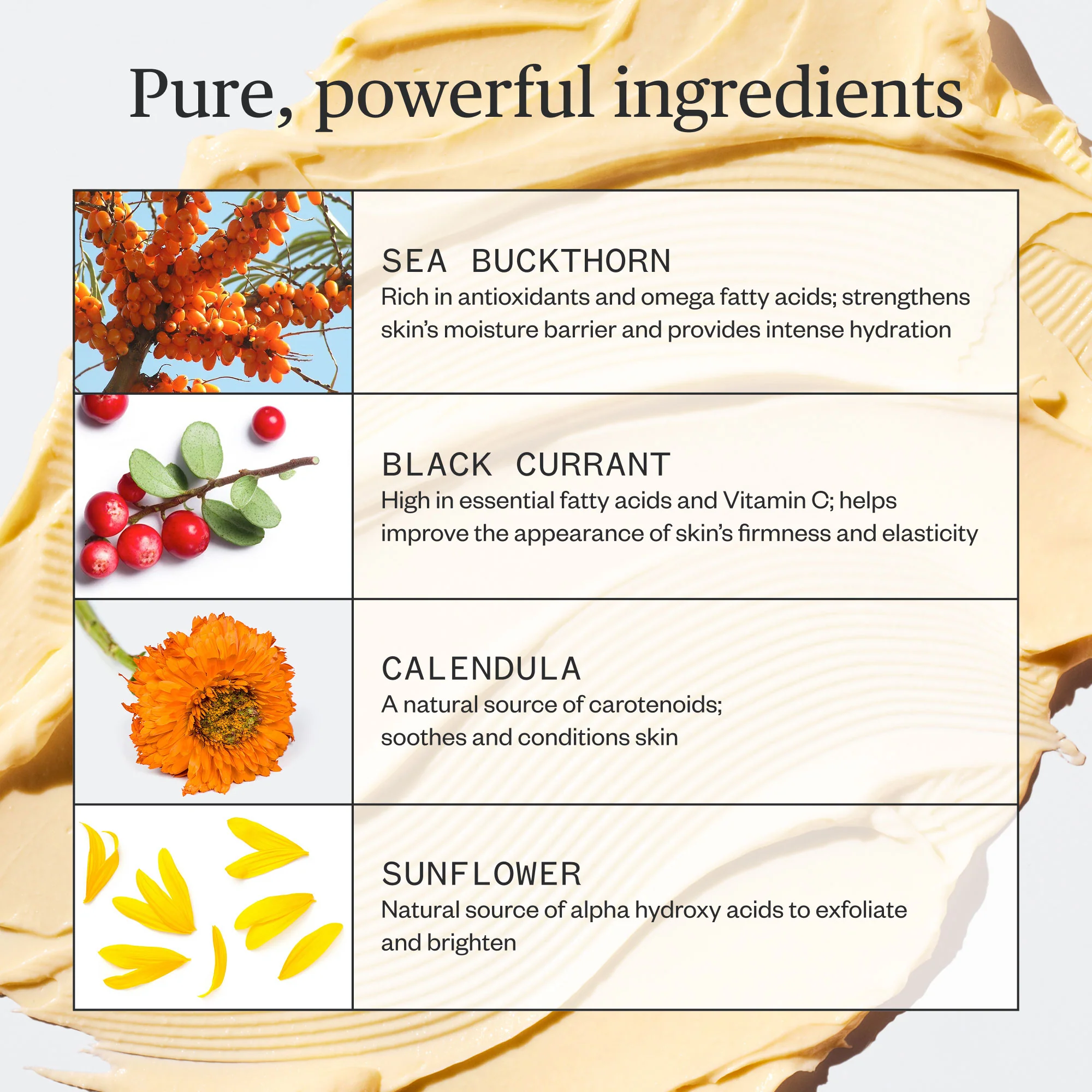 Golden Hour Recovery Cream - Image 5